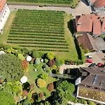 Hotel Der Lowen 3*
