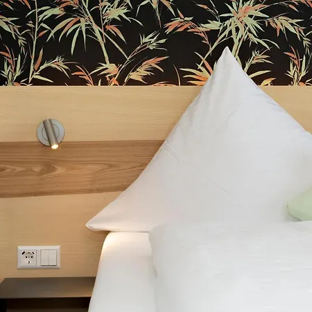 德尔明镜罗温酒店 酒店 3*