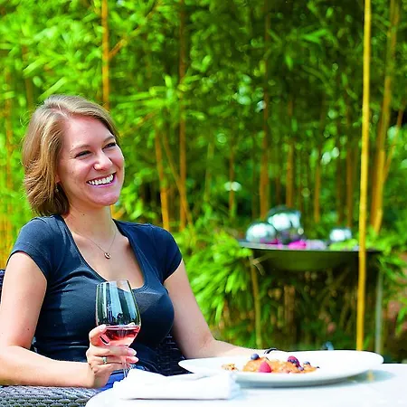 Der Loewen מלון הגנאו