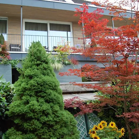 Hotel Der Lowen 3*