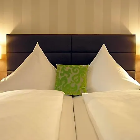 Der Lowen Hotel 3*